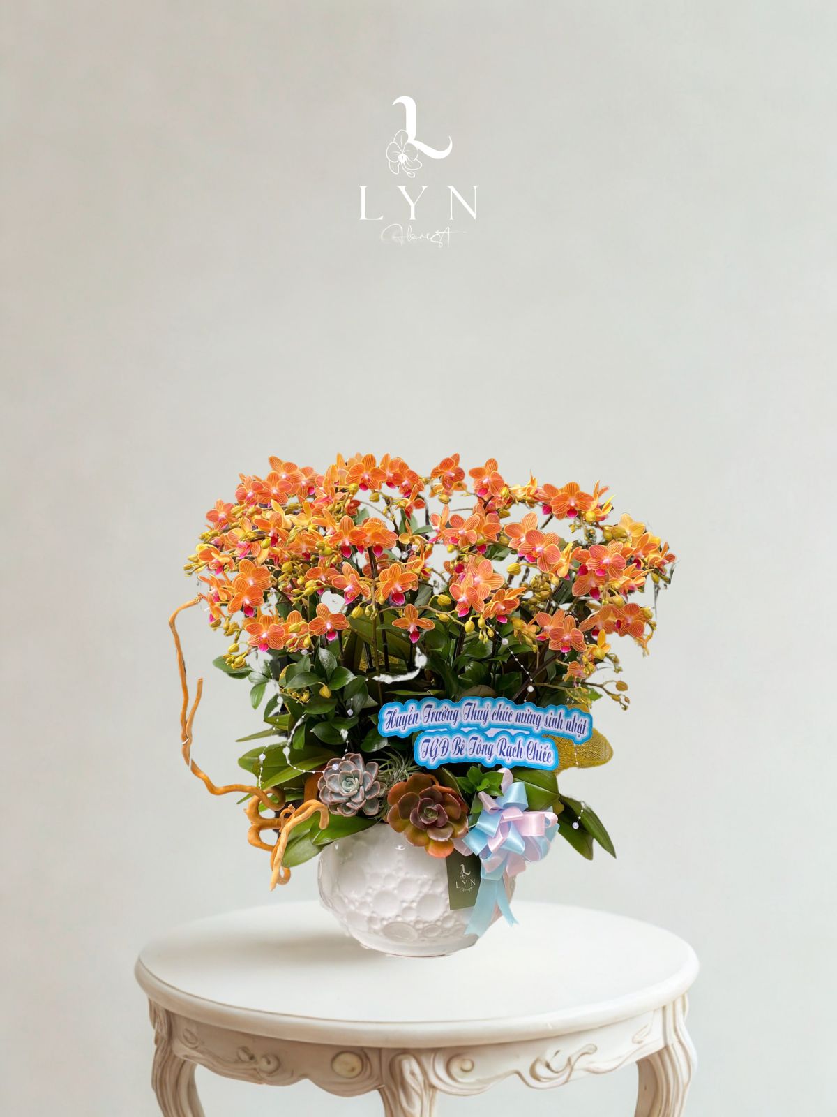 Chậu Hoa Lan Mini Cam Vàng 20 cành